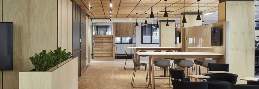 Aurecon sought to incorporate the biophilic and sustainability benefits of timber into the new interior fit-out of its Adelaide office.