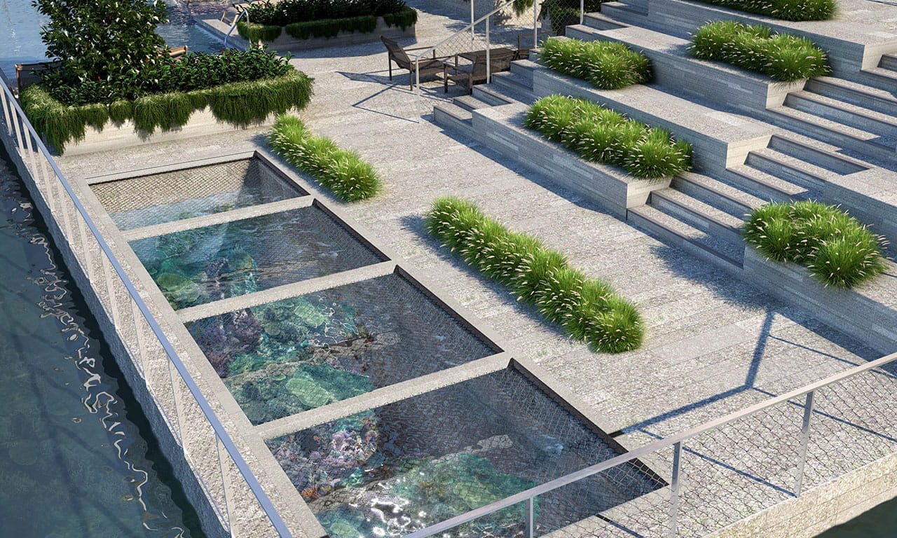 Marine viewing deck at The Reef.
