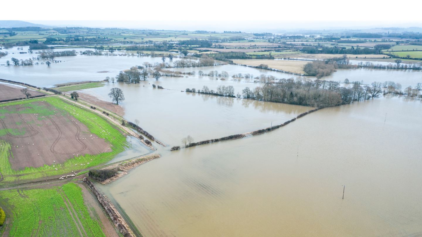 River Severn flood at Atcham in Shropshire Darling Downs.