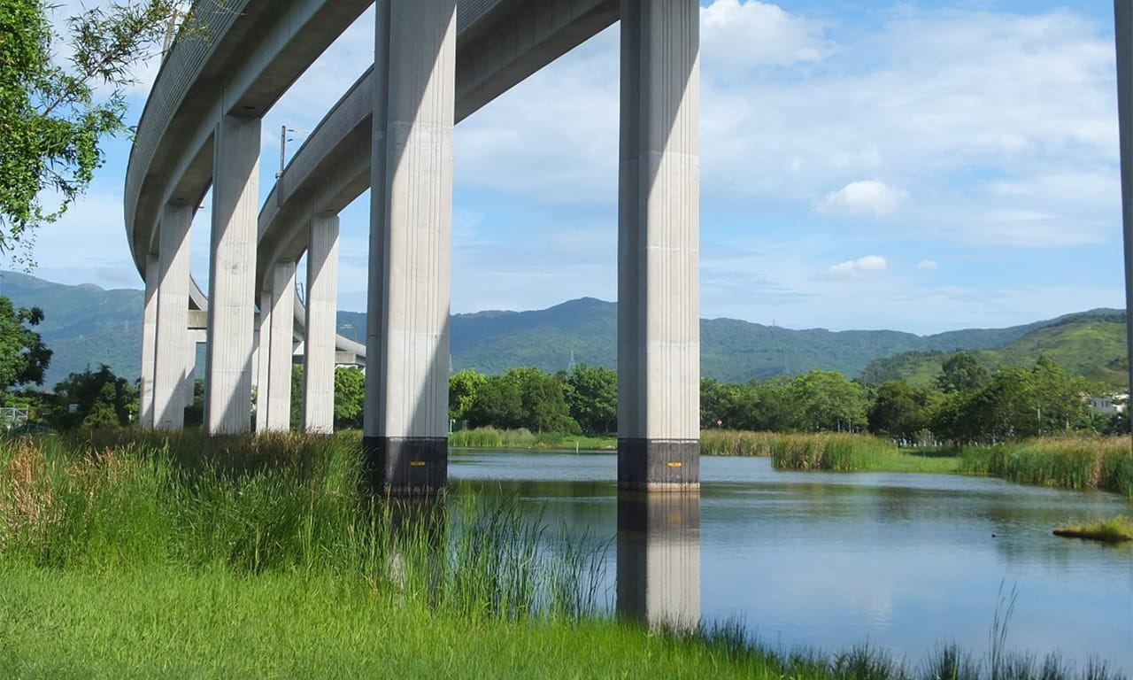 AEC, a member of Aurecon Group, supports MTR in managing 12 hectares of mitigation wetlands along the Tuen Ma Line, preserving vital biodiversity.