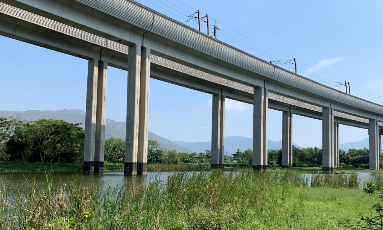 Through long-term ecological monitoring and habitat management, AEC helps maintain Hong Kong’s wetlands as thriving habitats for birds, dragonflies, and amphibians.