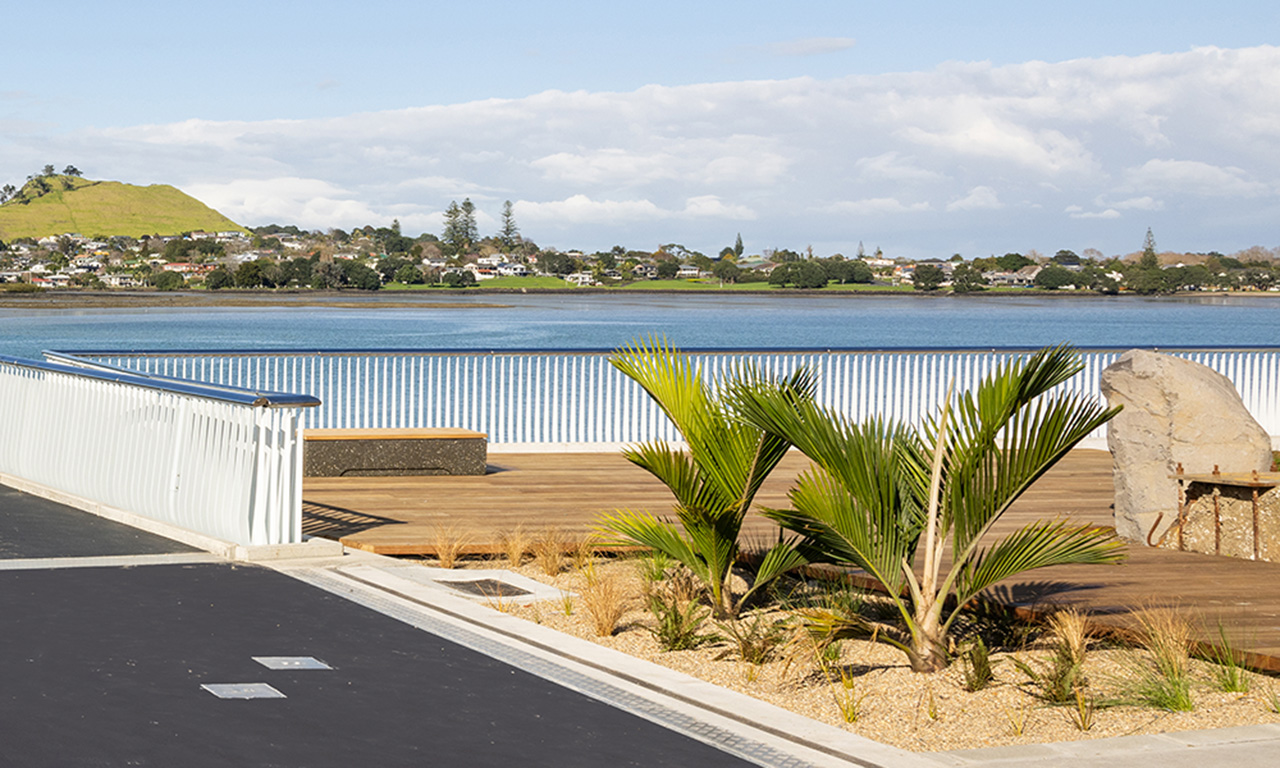Ngā Hau Māngere includes rain gardens at each bridge abutment.  Image courtesy of Mark Scowen Photography.