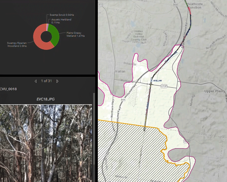 Translating ecological impact assessment information into a digital report for the Shepparton Line Upgrade project.