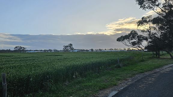 Ensuring a secure and resilient future for a growing Bordertown community.