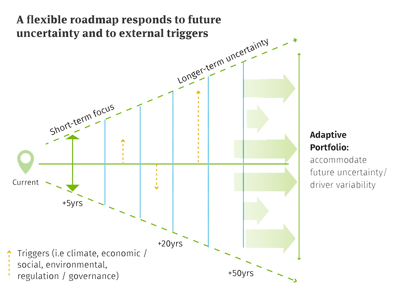 Flexible roadmap responds to future uncertainty and external triggers