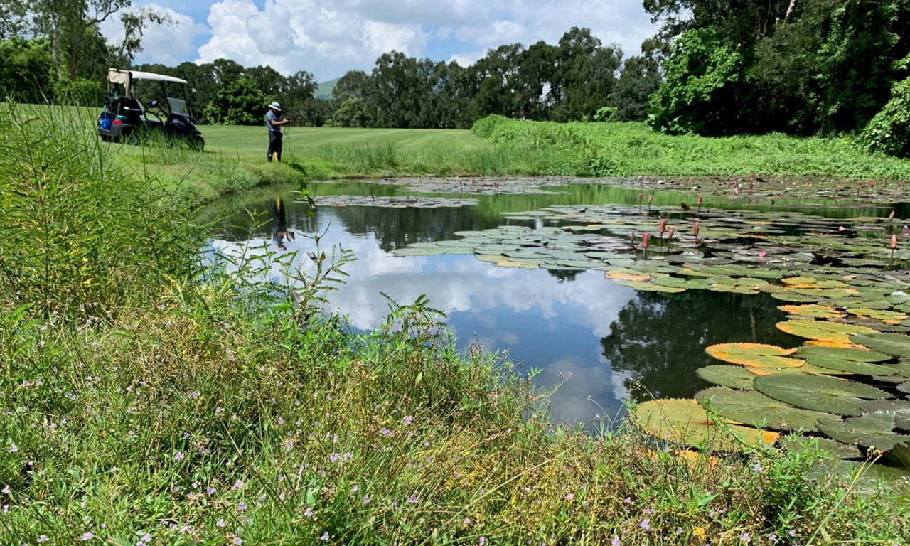 Using infrared cameras and remote sensing, our ecologists have recorded new species, like the Japanese Night Heron, enhancing Hong Kong’s understanding of native biodiversity. Image courtesy of Hong Kong Golf Club.