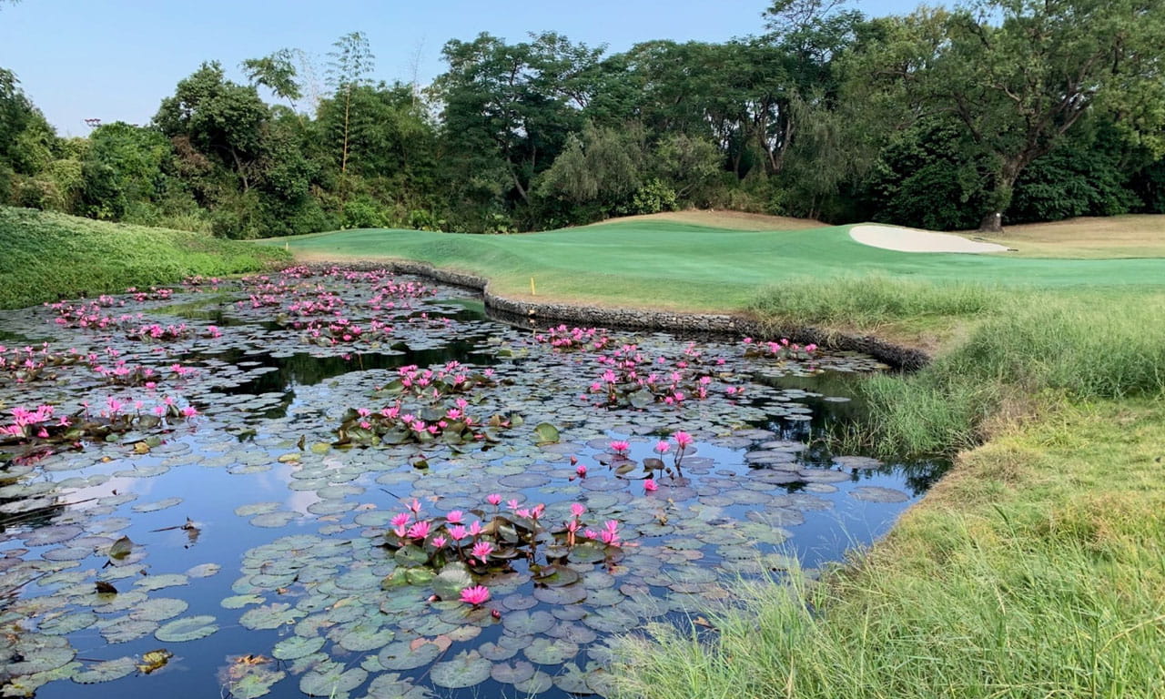 Through habitat management initiatives including butterfly gardens, nesting boxes, and water features, Fanling Golf Course has achieved Audubon Cooperative Sanctuary certification, cementing its commitment to sustainability. Image courtesy of Hong Kong Golf Club.