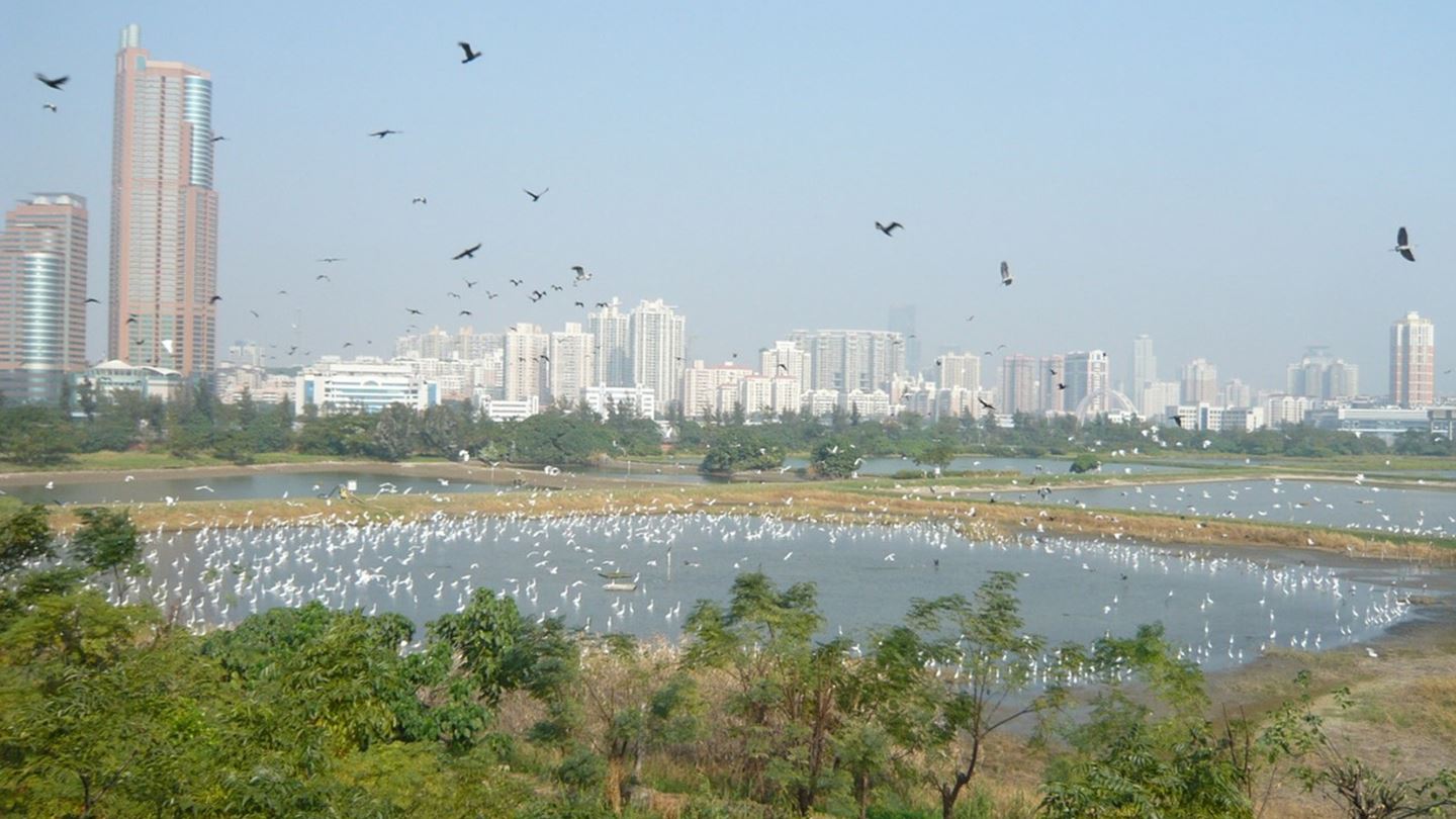 Enhancing the existing wastewater infrastructure, using multiple innovative solutions for the Jabiru township. Image courtesy of Rod Long on Unsplash.