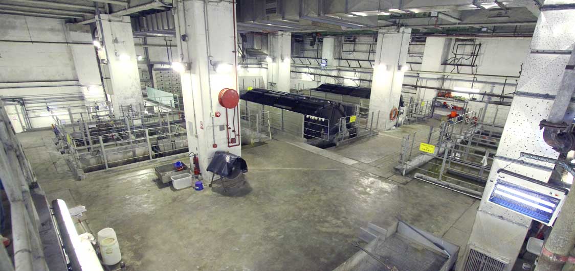 MTR Lo Wu Sewage Treatment Plant Rehabilitation Phase II