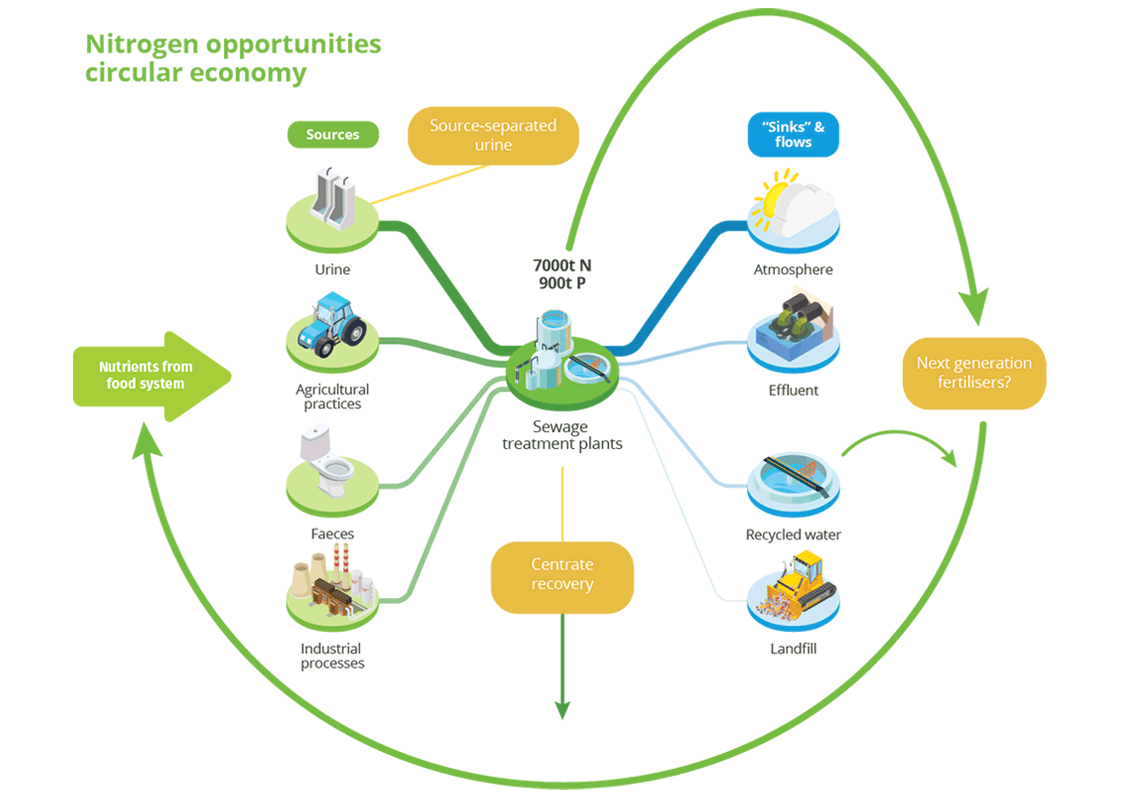 Nitrogen opportunities in a circular economy.