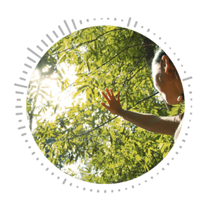 Young woman feeling dappled light through tree canopy